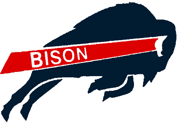 Howard Bison 2002-2014 Primary Logo iron on transfers for clothing